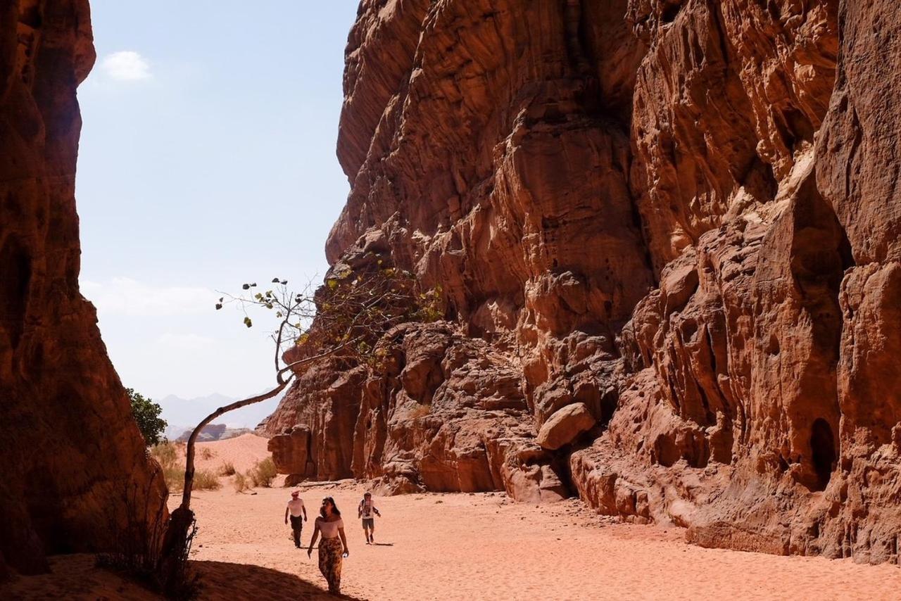 Wadi Rum Bedouin Camp And Desert Tours 외부 사진