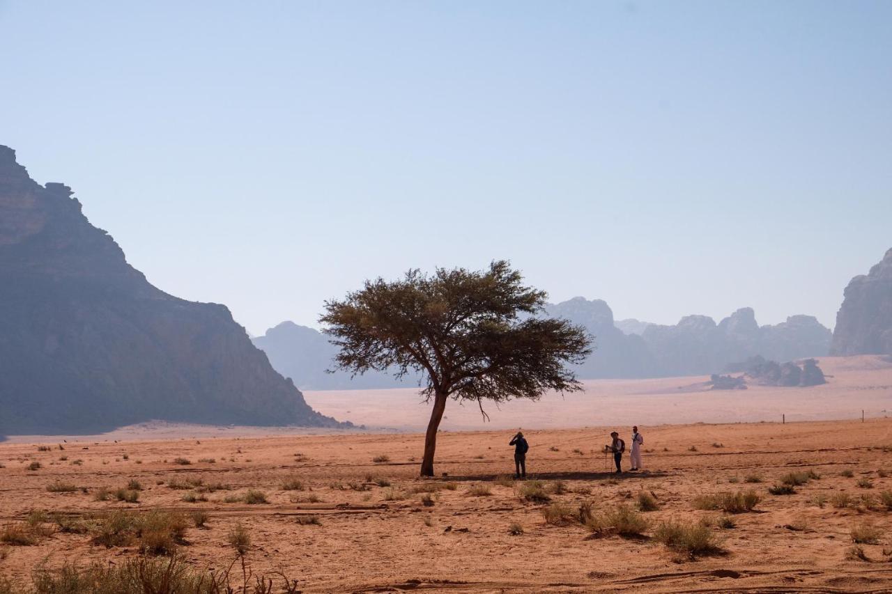Wadi Rum Bedouin Camp And Desert Tours 외부 사진